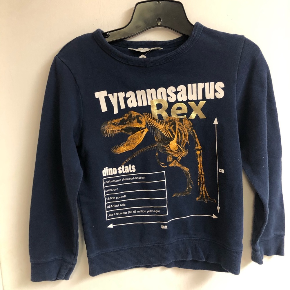 Blue H&M sweater